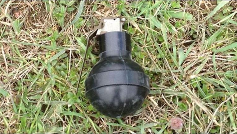 9d1ff7ff-stink-bomb.jpg
