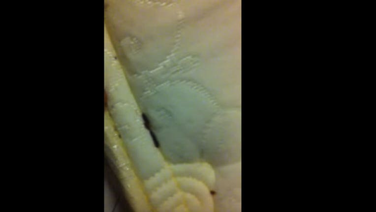 a018620c-Bedbug Infestation-402970