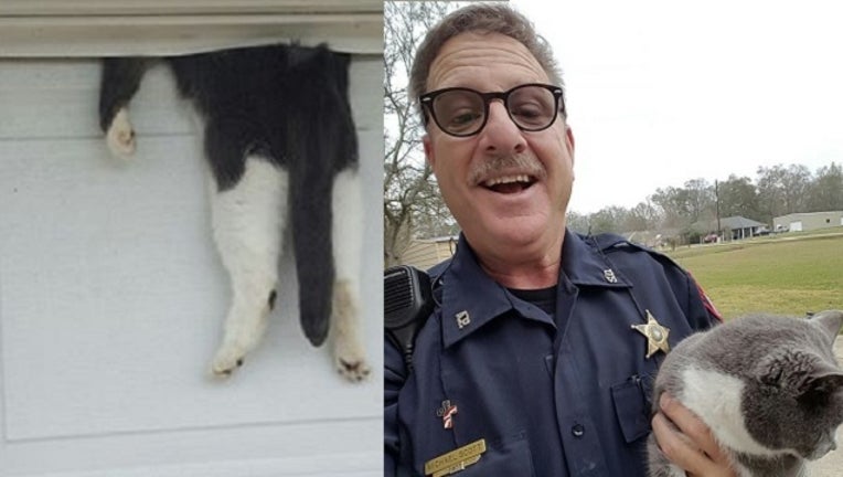 Officer Saves Cat_1483991525884-401096.jpg