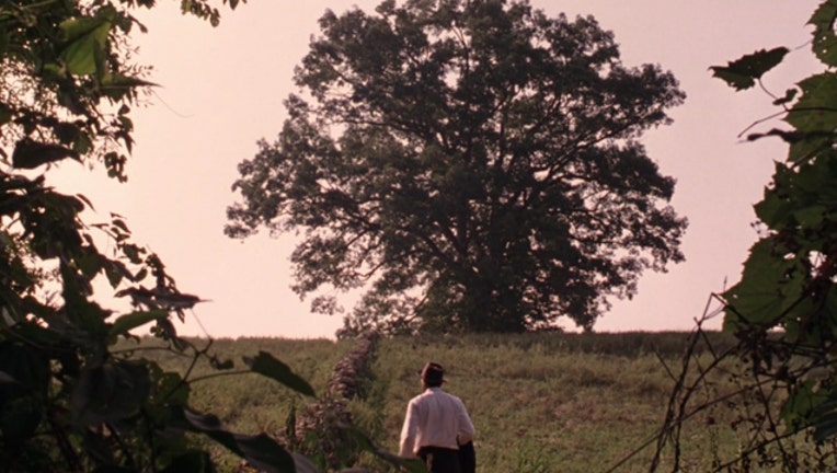 Red visits Andy's tree in a scene from The Shawshank Redemption