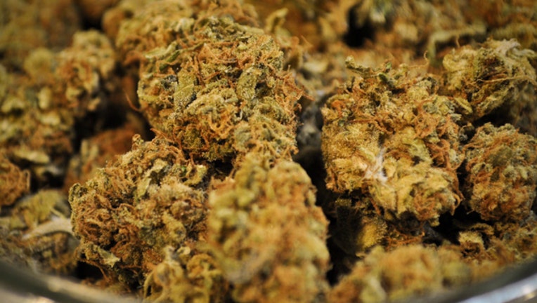 marijuana-dat-kush_1471953894950.jpg