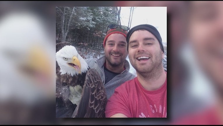 b7e805ab-bald-eagle-selfie_1448887113519.jpg