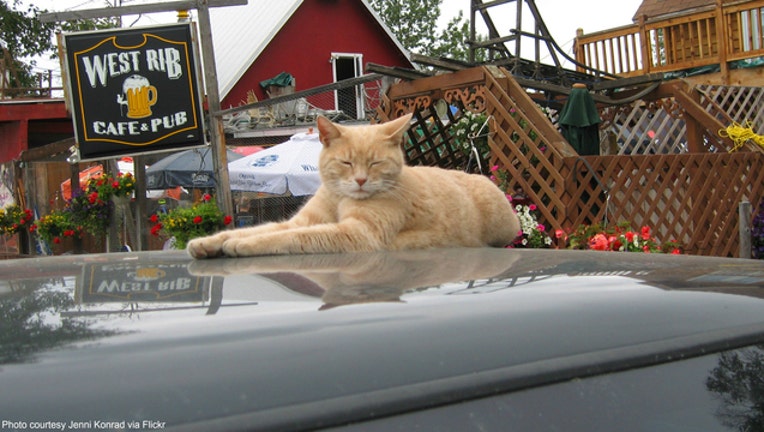 b9fcfd1a-Mayor Stubbs of Talkeetna, Alaska, has died