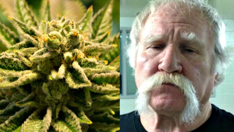 bac65177-godfather of grass_1521162833471.jpg.jpg