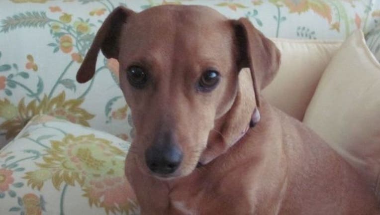 bb02894c-1453213957035 (1)_1453261293376.jpg