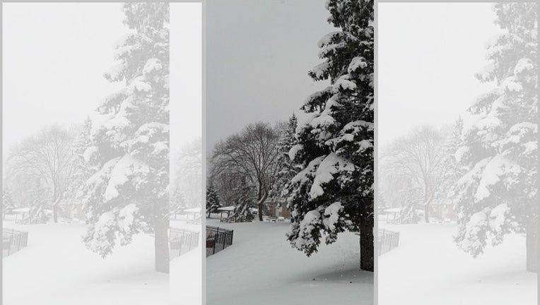 c445b502-snow_1517089515473-401096.jpg