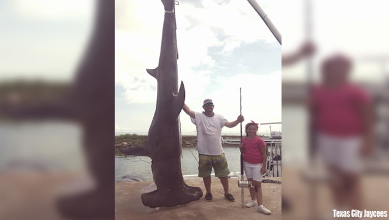 c4a06462-hammerhead_1499720258394-407693.jpg