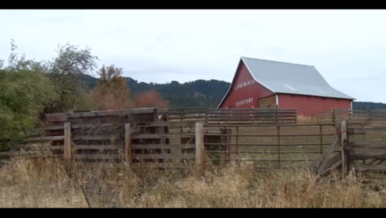 cb56f101-Screen Shot 2015-11-08 at 1.58.44 PM_1447012486225.png