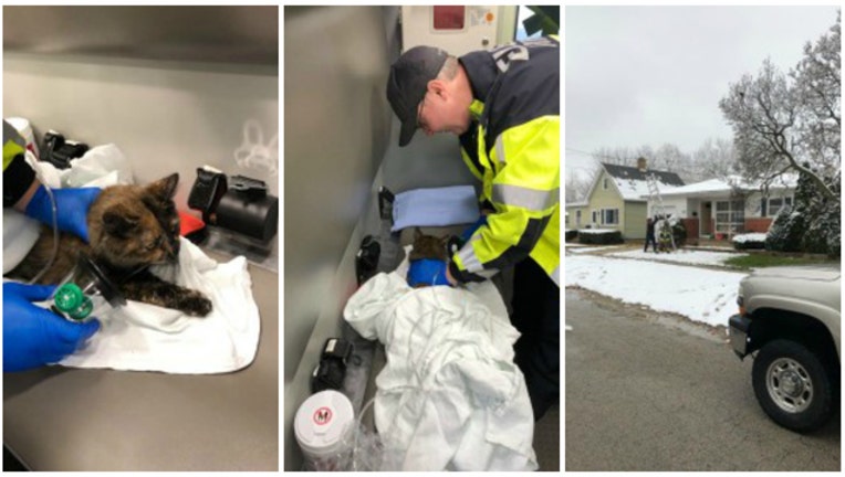 cea4cc6c-Cat rescued from burning house