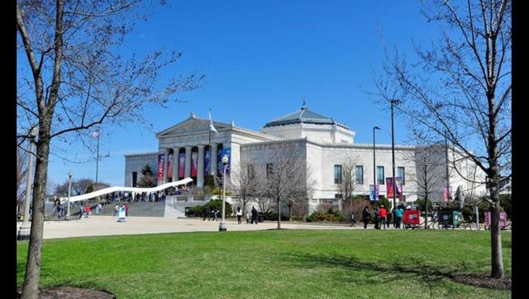 shedd-aquarium