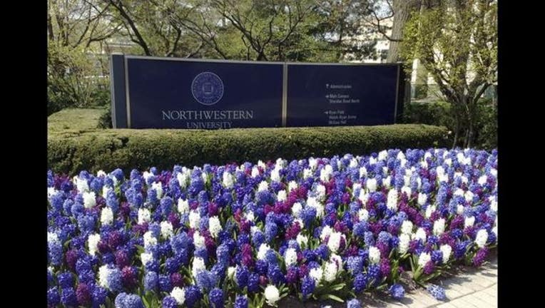 northwestern-university