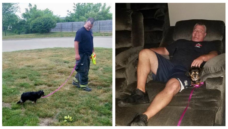 de97d207-Angel the temporary firehouse dog