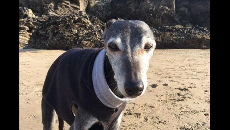 e12d7315-Photo courtesy Mark Woods