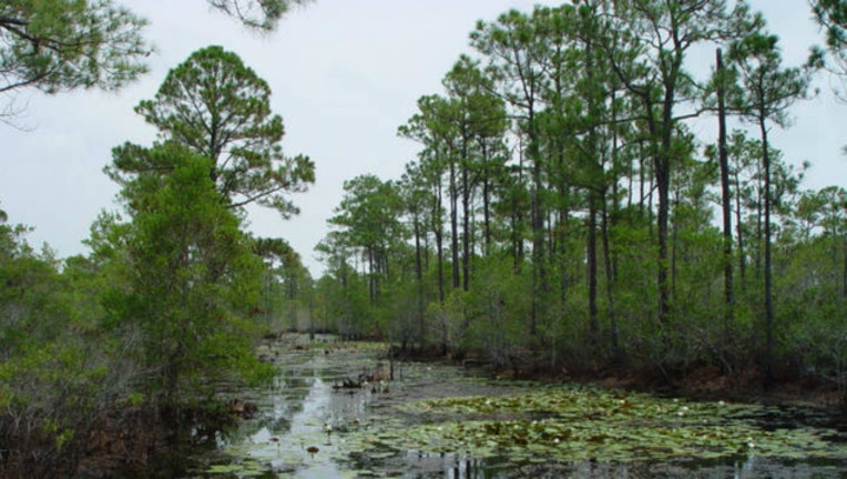 e1daf3f9-Alabama wetlands photo by US government