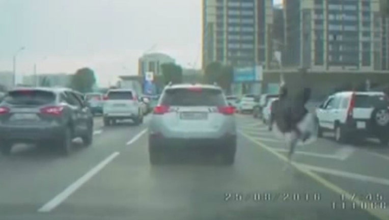 e23db07e-ostrich2_1472827846402.jpg
