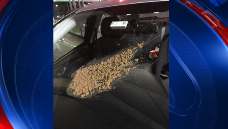 f0bea9b7-dog poop_1500732967028-404959.PNG