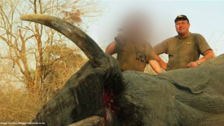f9fba3c4-Big game hunter Theunis Botha was crushed and killed by a wounded elephant (image from tbbiggamehounds.co.za)