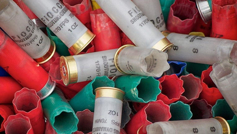 shotgun-shells_1452452467768.jpg