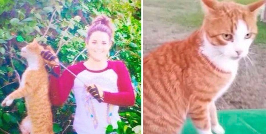 Texas Board Suspends License Of Vet Who Killed Cat
