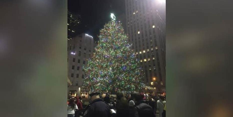 After Holiday Rockefeller Tree Used By Habitat For Humanity Fox