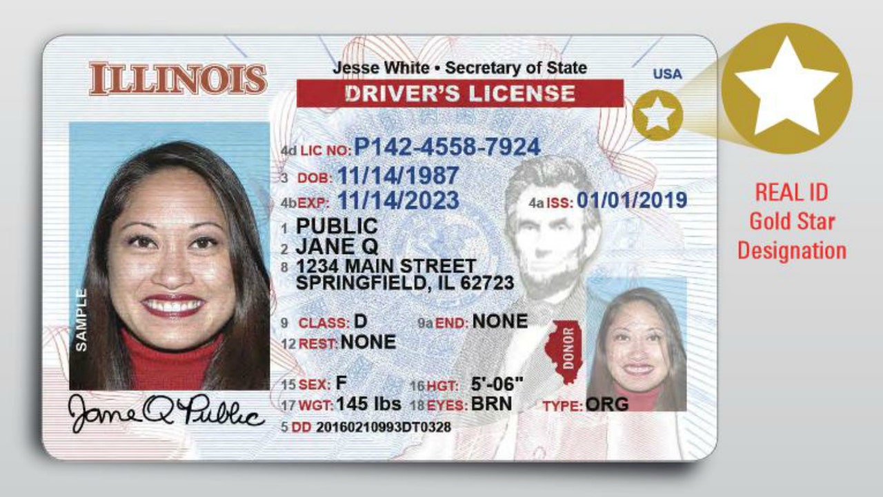 driver license renewal