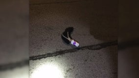 Aurora police free skunk's head from McFlurry cup