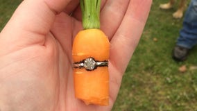 Man proposes to girlfriend by growing carrot inside engagement ring in their garden