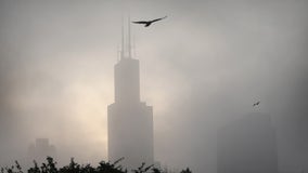 Cleanup resumes along Chicago lakefront after weekend winter storm