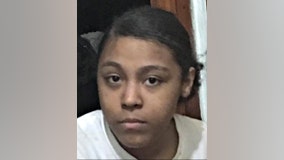 Girl, 15, missing from Brighton Park