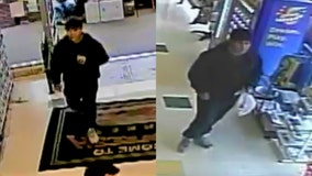 Palatine police release photos of arson suspect