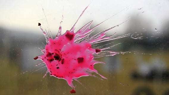 Six people in custody in paintball shootings released without charges