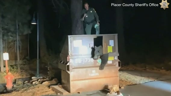 'Go on, Bubs': California sergeant shoos away bear eating garbage in Dumpster