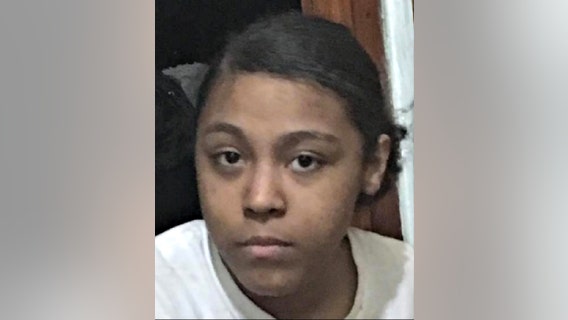 Girl, 15, missing from Brighton Park