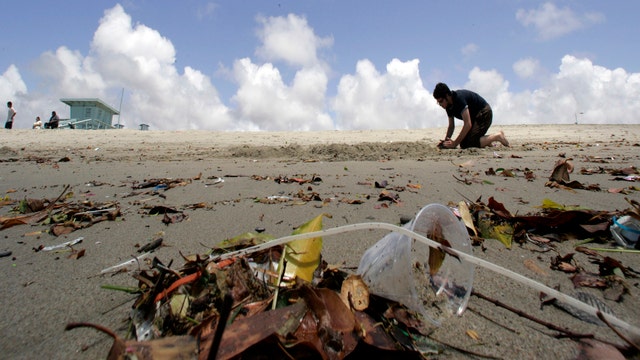 Report: Many U.S. beaches unsafe for swimming due to fecal matter in the water