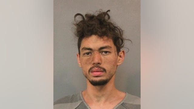 Naked man from Chicago tased by police in Indiana cornfield