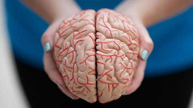 5 lifestyle behaviors found to lower risk of Alzheimer's by 60 percent, new research finds