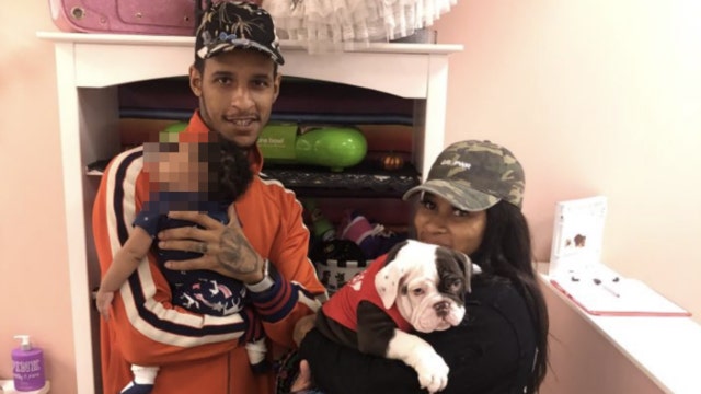 Stolen puppy worth $7k returned to Aurora pet store, police say