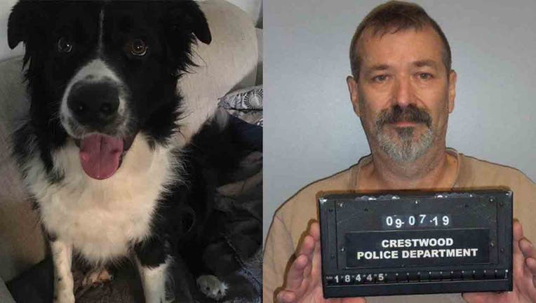 John Conrad Ross II, 56, is accused of stabbing Teddy, a Border collie, at least seven times when he ran onto his property.