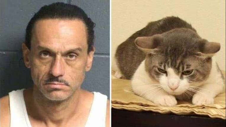 new mexico man feeds cat meth_1565800260653.jpg-402429.jpg