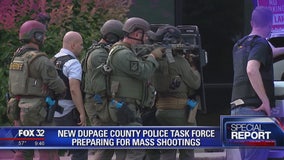 New DuPage County police task force prepares for mass shootings