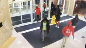 Group wanted for stealing purses, robbing woman at Northbrook Court mall: police