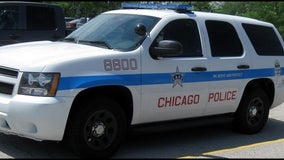 Garages, storage facilities burglarized in Lincoln Park