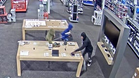 Smash-and-grab burglars hit Gurnee Best Buy: police