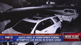 Shots fired at New Lenox homeowner during car break-in