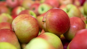 Potential listeria contamination leads to apples recall in 8 states