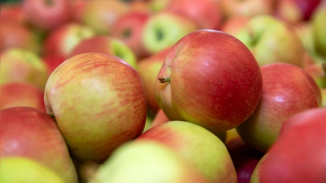 Potential listeria contamination leads to apples recall in 8 states