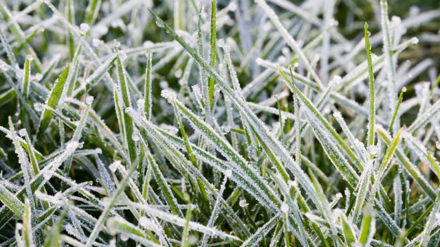 Snow showers and potentially damaging winds could reach Chicago area Sunday: forecasters