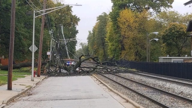 Downed tree, power lines cleared from Metra tracks in Beverly