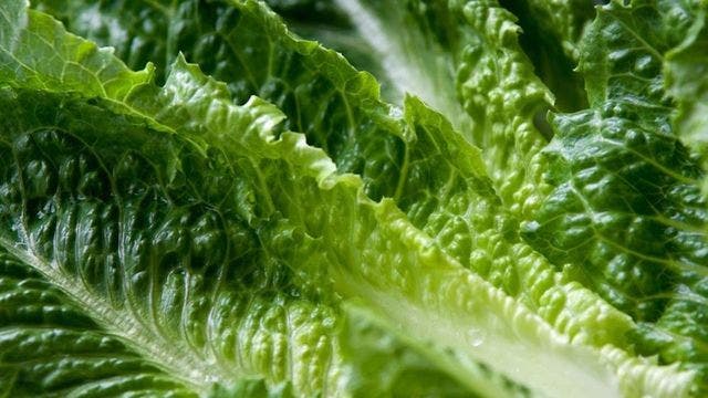 E. coli outbreak linked to first Illinois case