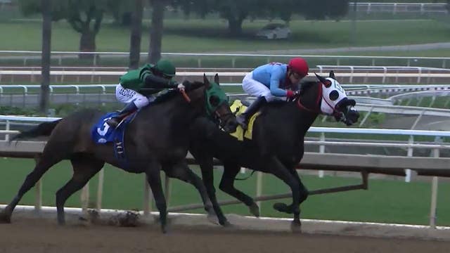 Another horse euthanized at Santa Anita Park; 34th since December